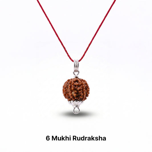 Natural Rudraksha Pendant 6 Face (Lab Certified)