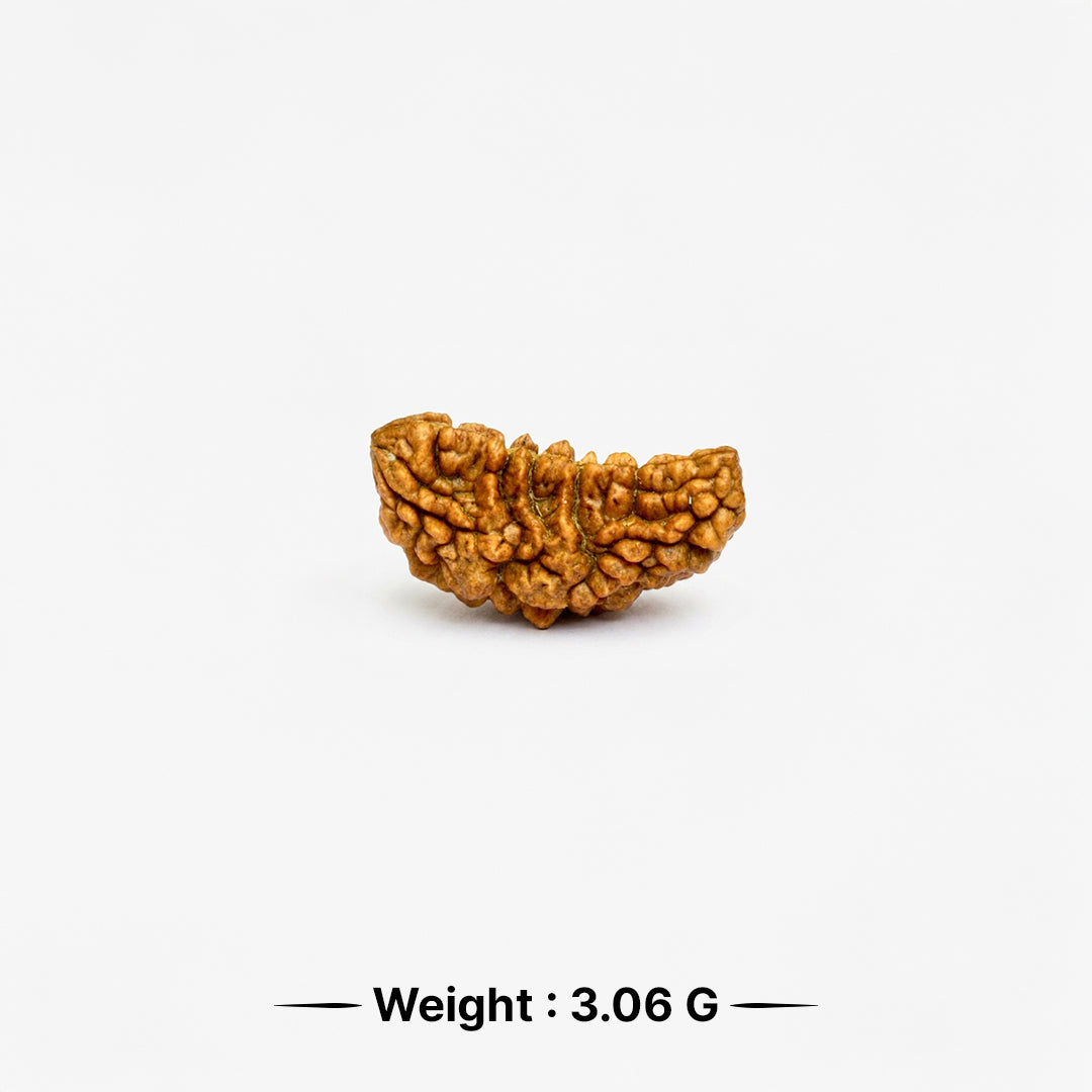 99Pandit 1 Mukhi Rudraksha Weight
