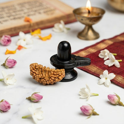 Original 1 Mukhi Rudraksha for Lord Shiva