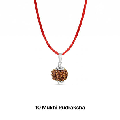 Natural Rudraksha Pendant 10 Face (Lab Certified)