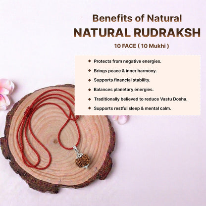 Natural Rudraksha Pendant 10 Face (Lab Certified)