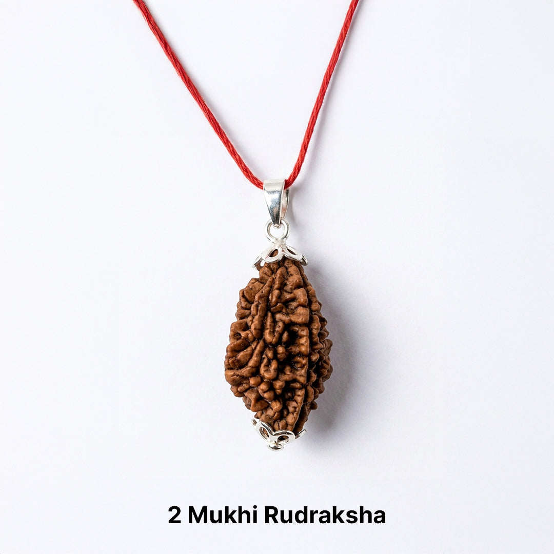 Natural 2 Mukhi Rudraksha Pendant (Lab Certified)