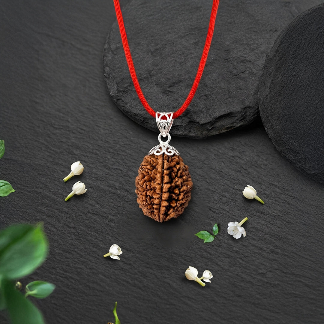 Natural 2 Mukhi Rudraksha Pendant (Lab Certified)