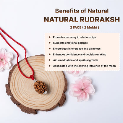 Natural 2 Mukhi Rudraksha Pendant (Lab Certified)