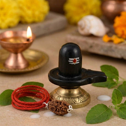 Natural 2 Mukhi Rudraksha Pendant (Lab Certified)