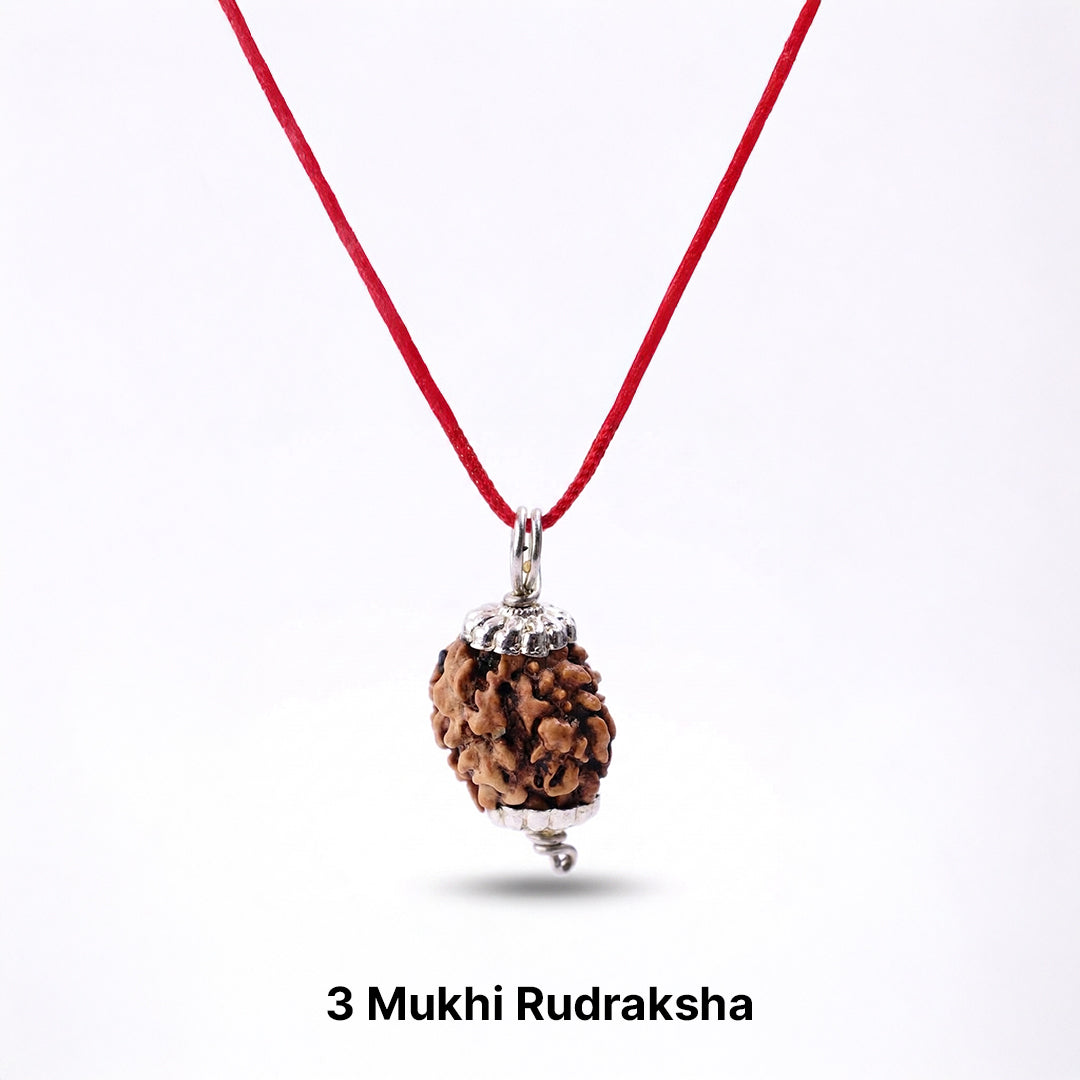 Natural 3 Mukhi Rudraksha Pendant (Lab Certified)