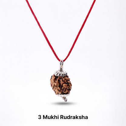 Natural 3 Mukhi Rudraksha Pendant (Lab Certified)