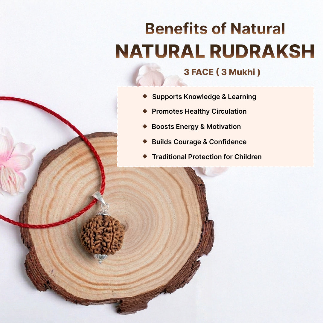Natural 3 Mukhi Rudraksha Pendant (Lab Certified)