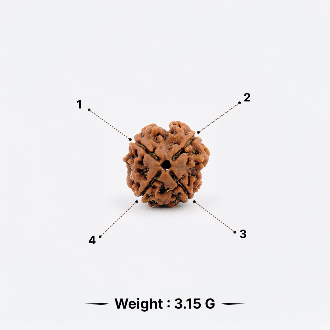 Natural 4 Mukhi Rudraksha Pendant (Lab Certified)