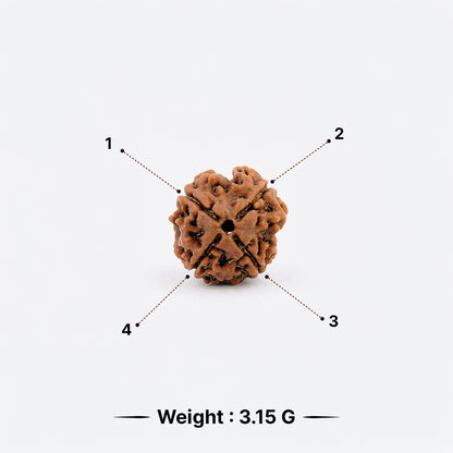 Natural 4 Mukhi Rudraksha Pendant (Lab Certified)