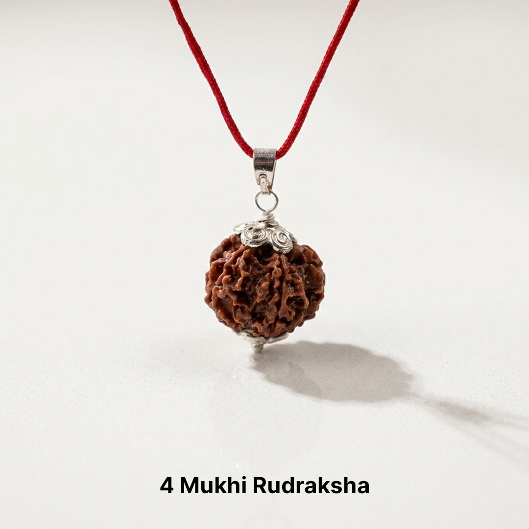 Natural 4 Mukhi Rudraksha Pendant (Lab Certified)