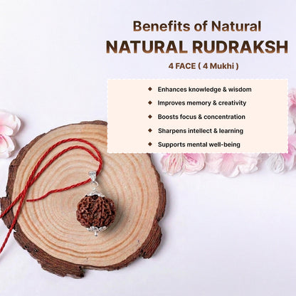 Natural 4 Mukhi Rudraksha Pendant (Lab Certified)