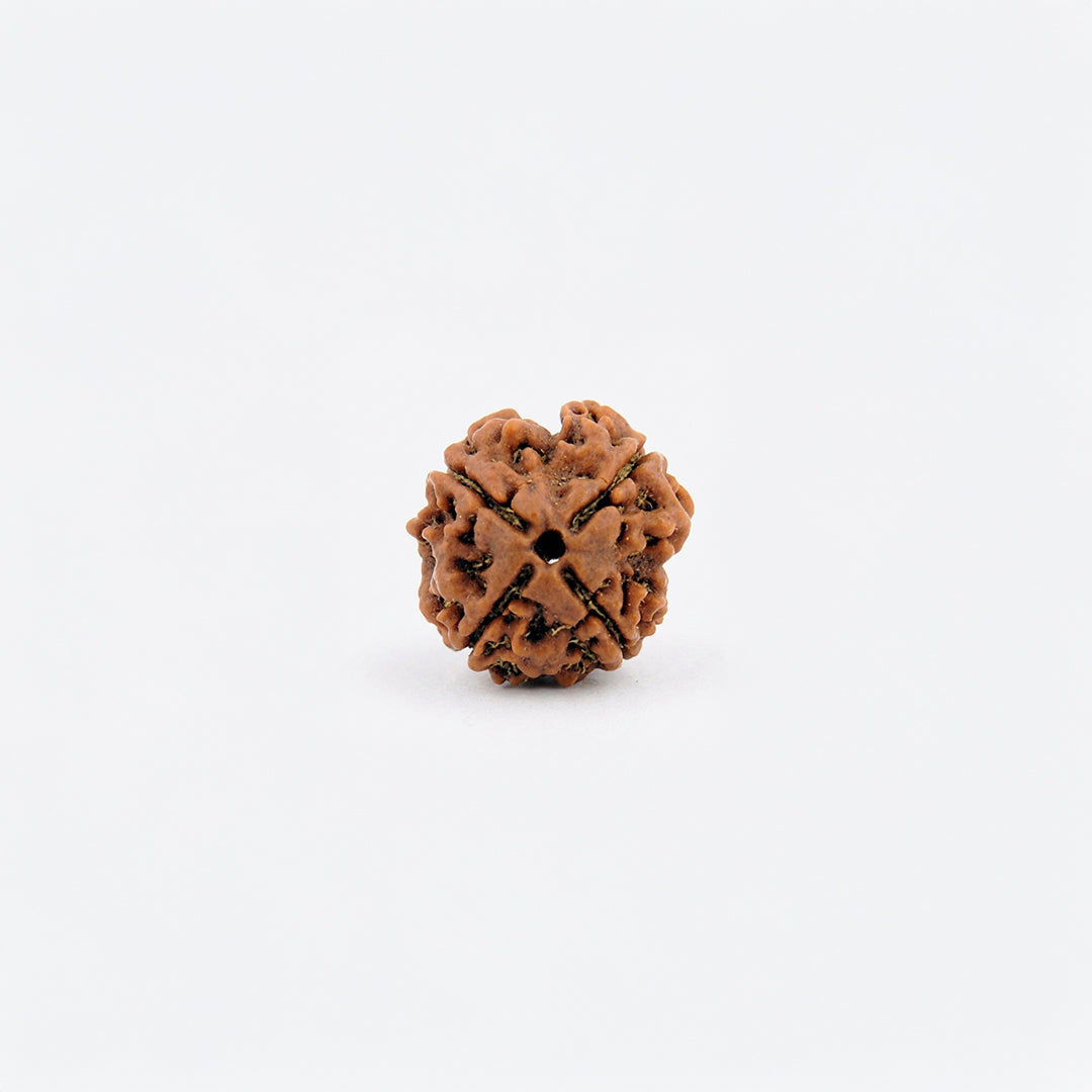 Natural 4 Mukhi Rudraksha Pendant (Lab Certified)
