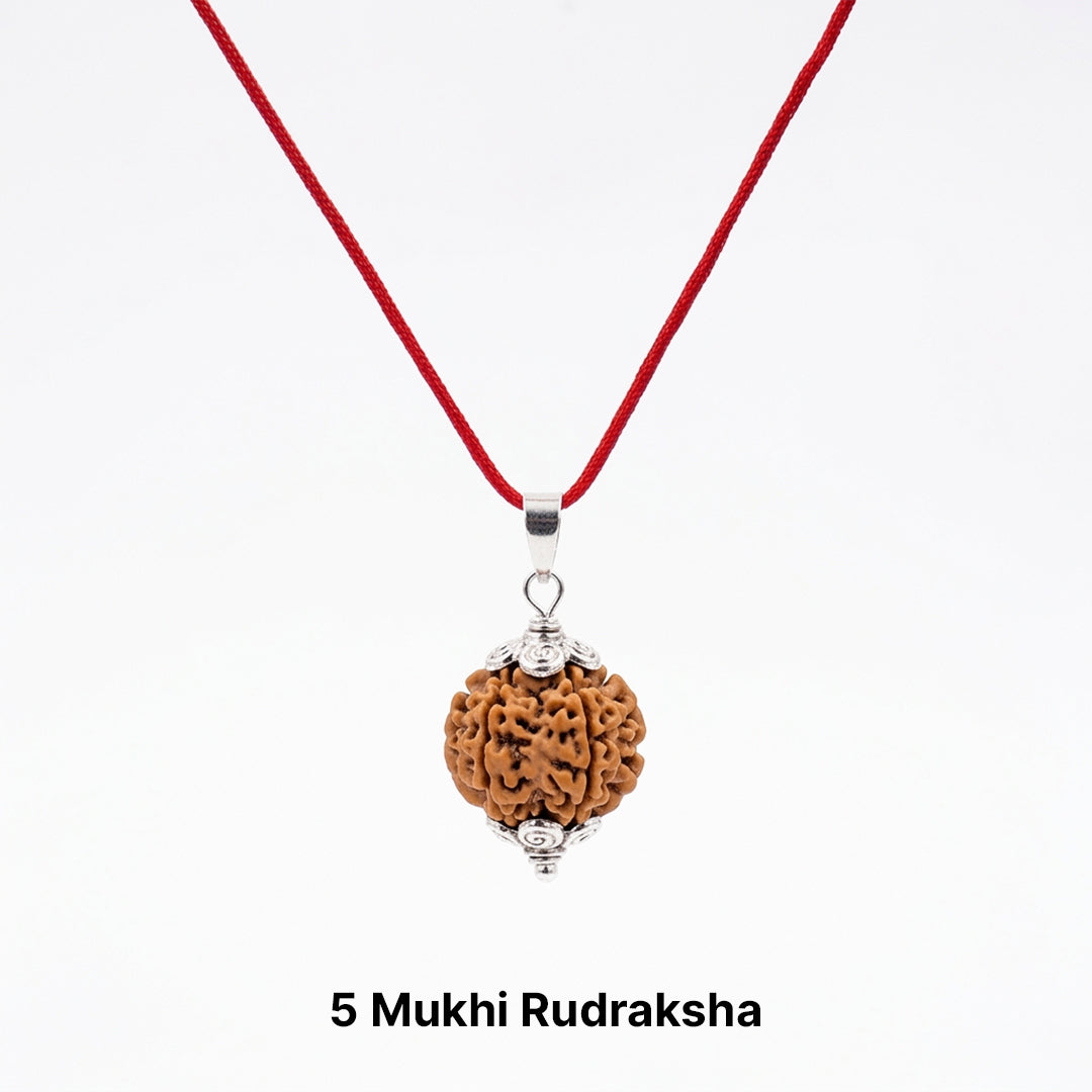 Natural 5 Mukhi Rudraksha Pendant (Lab Certified)