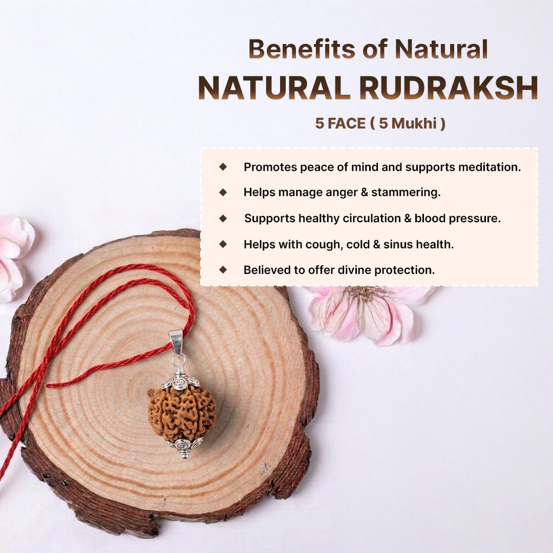 Natural 5 Mukhi Rudraksha Pendant (Lab Certified)