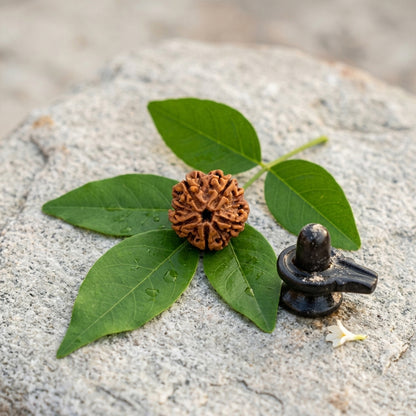 Natural 5 Mukhi Rudraksha Pendant (Lab Certified)