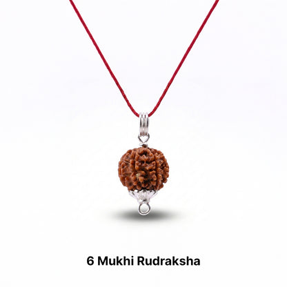 Natural Rudraksha Pendant 6 Face (Lab Certified)