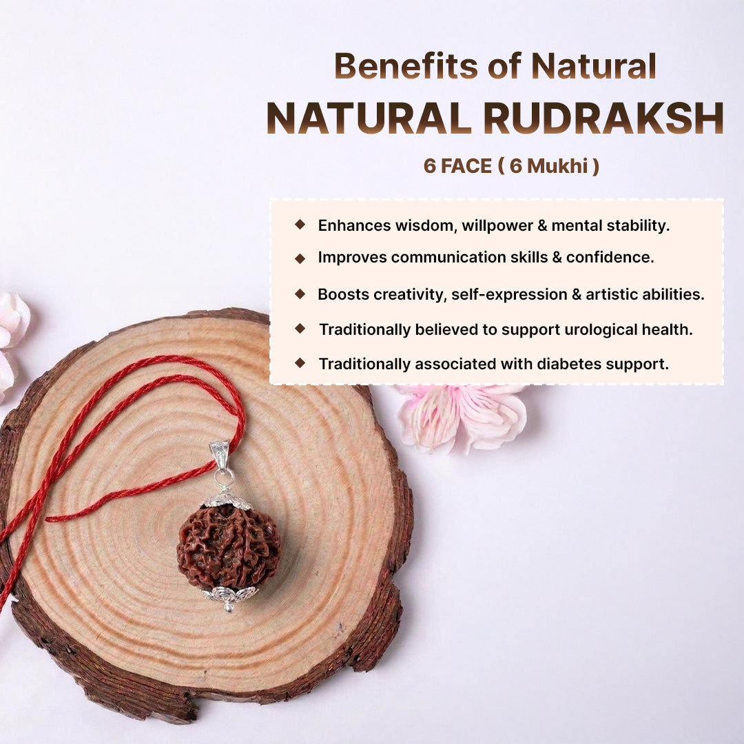 Natural Rudraksha Pendant 6 Face (Lab Certified)