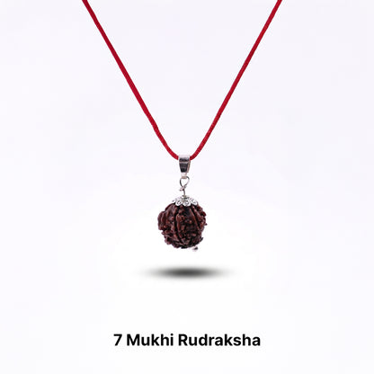 Natural Rudraksha Pendant 7 Face (Lab Certified)
