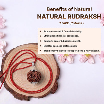Natural Rudraksha Pendant 7 Face (Lab Certified)