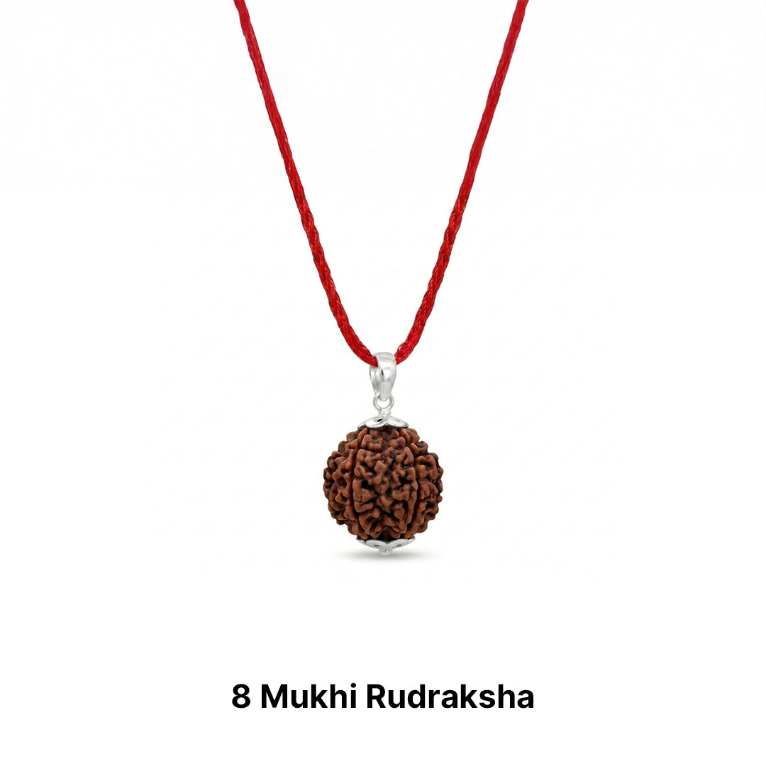 Natural Rudraksha Pendant 8 Face (Lab Certified)