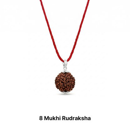 Natural Rudraksha Pendant 8 Face (Lab Certified)