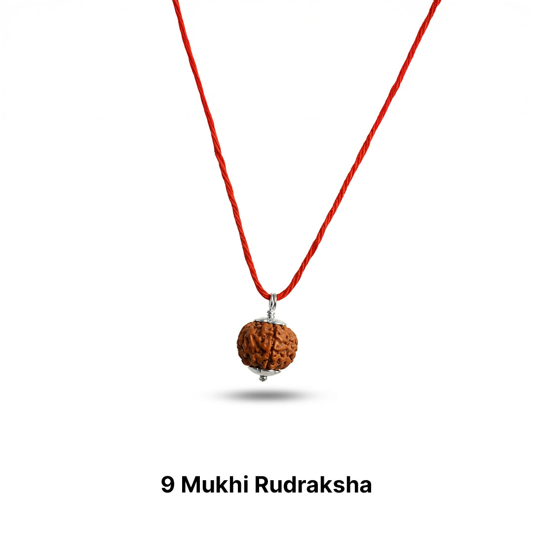 Natural Rudraksha Pendant 9 Face (Lab Certified)