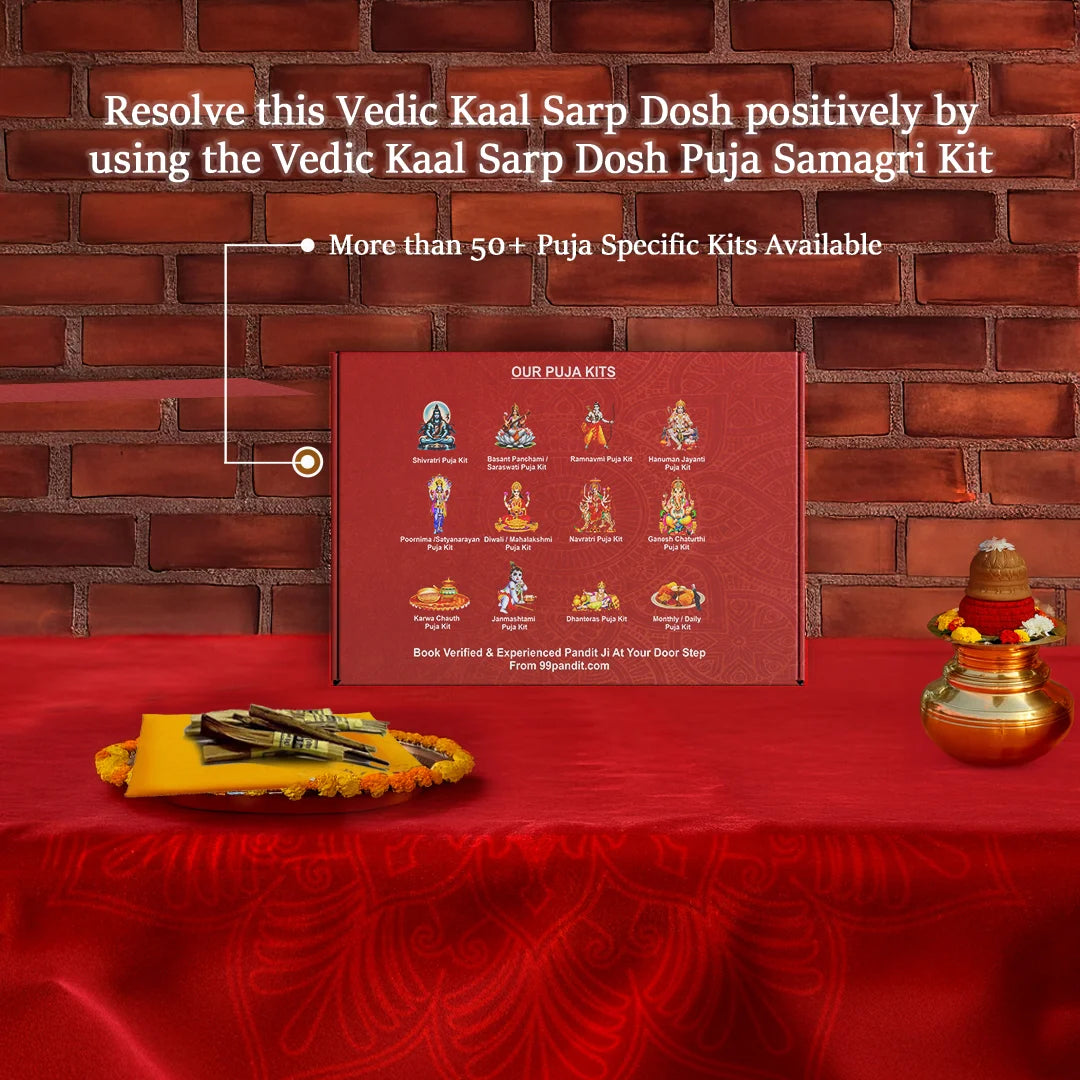 Vedic Kaal Sarp Dosh Puja Samagri Kit: Removing Negative Energies