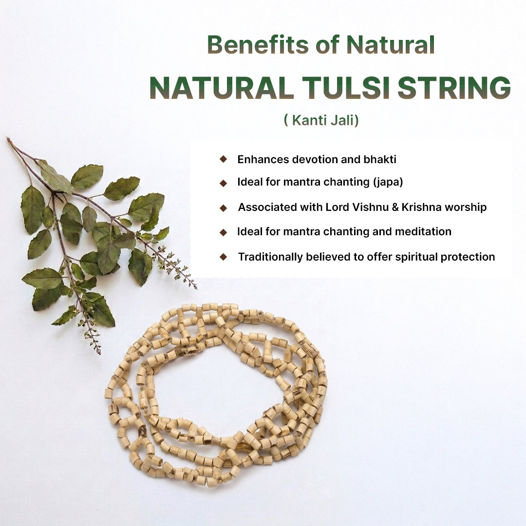 Natural Tulsi String (Kanti Jali)(Lab Certified)