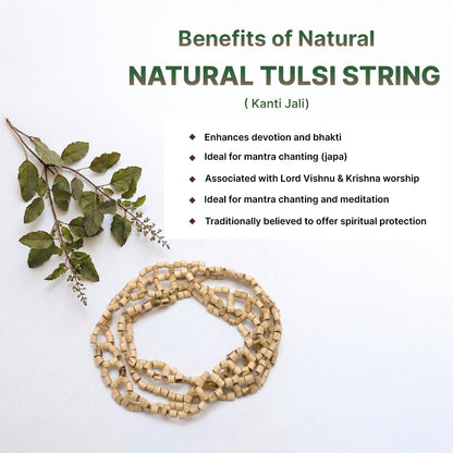 Natural Tulsi String (Kanti Jali)(Lab Certified)