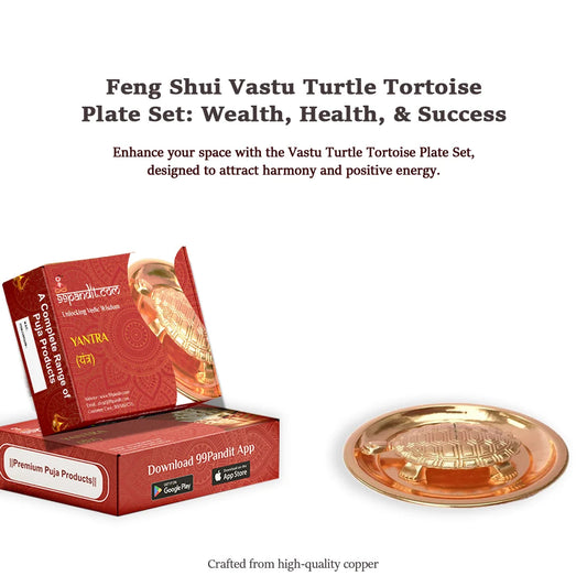 Feng Shui Vastu Turtle Tortoise Plate Set: Wealth, Health, & Success