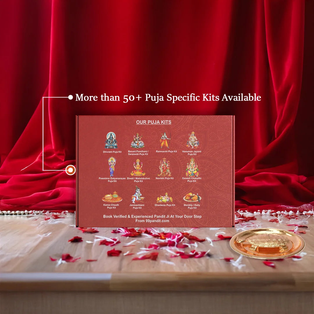 Feng Shui Vastu Turtle Tortoise Plate Set: Wealth, Health, & Success