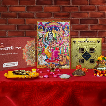 Vedic Kaal Sarp Dosh Puja Samagri Kit: Removing Negative Energies