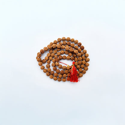 Natural Rudraksha String Mala 5 Face 6 mm (Lab Certified)