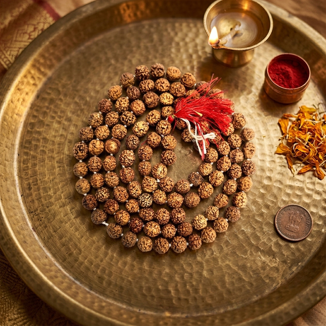 Natural Rudraksha String Mala 5 Face 8 mm (Lab Certified)