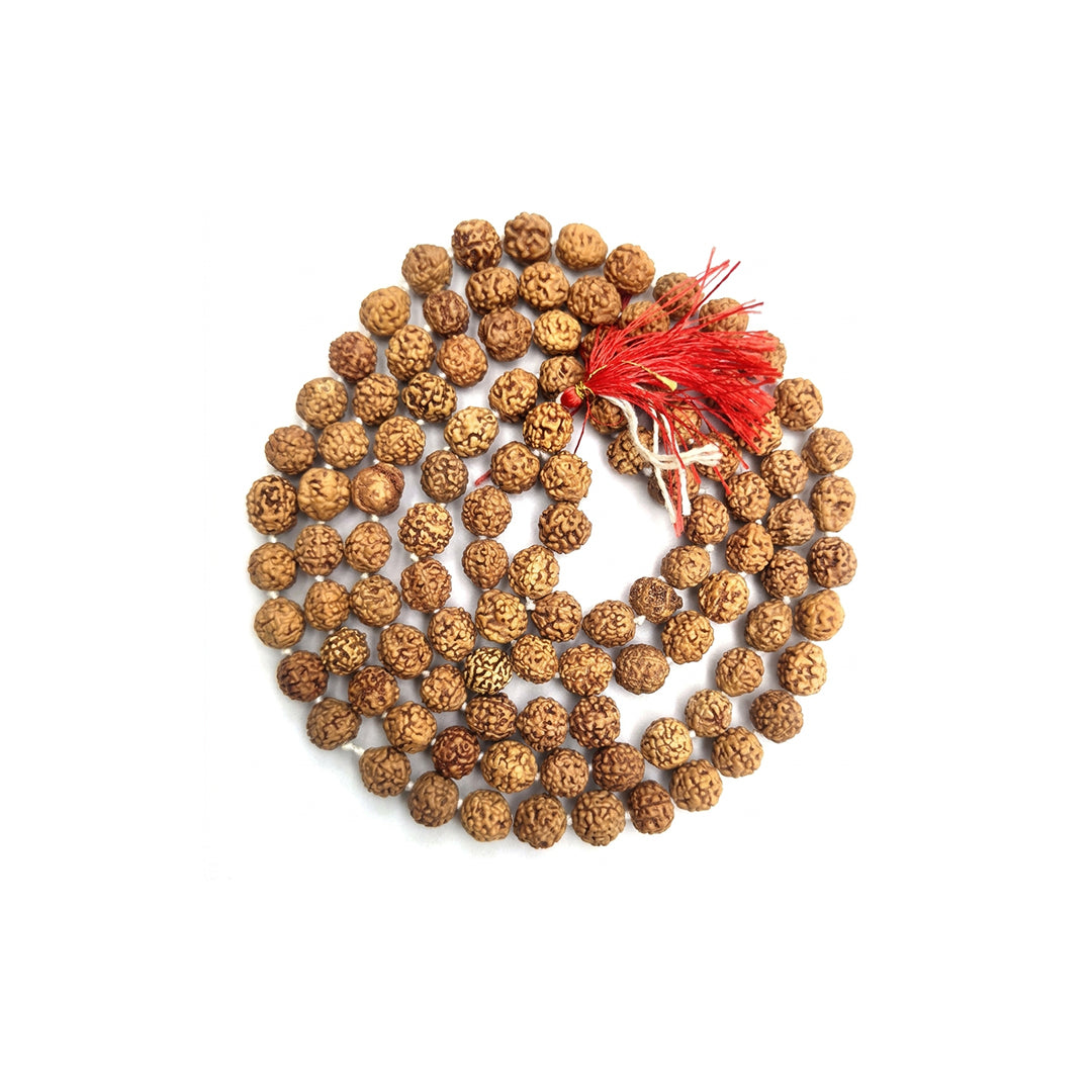 Natural Rudraksha String Mala 5 Face 8 mm (Lab Certified)