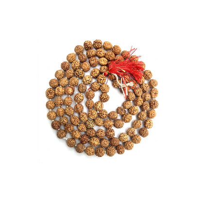 Natural Rudraksha String Mala 5 Face 8 mm (Lab Certified)