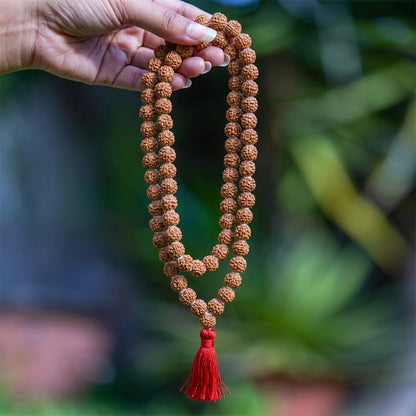 Natural Rudraksha String Mala 5 Face 9 mm (Lab Certified)