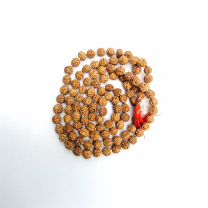 Natural Rudraksha String Mala 5 Face 9 mm (Lab Certified)