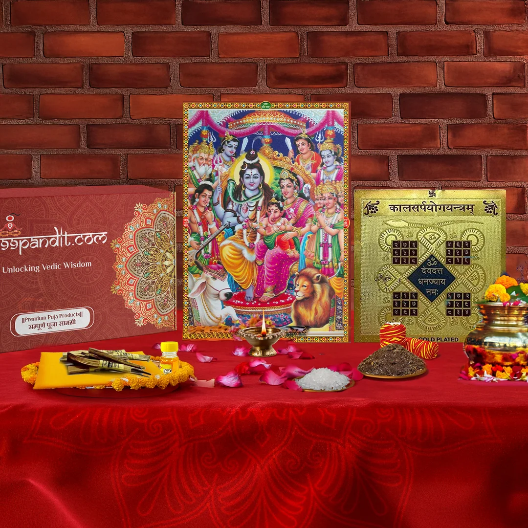 Vedic Kaal Sarp Dosh Puja Samagri Kit: Removing Negative Energies